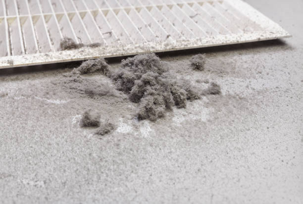 Air Duct Mold Removal in HI