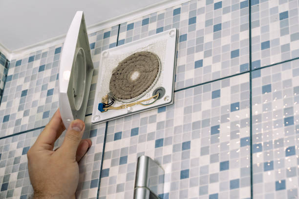 Best Air Duct Mold Removal  in Kapolei, HI