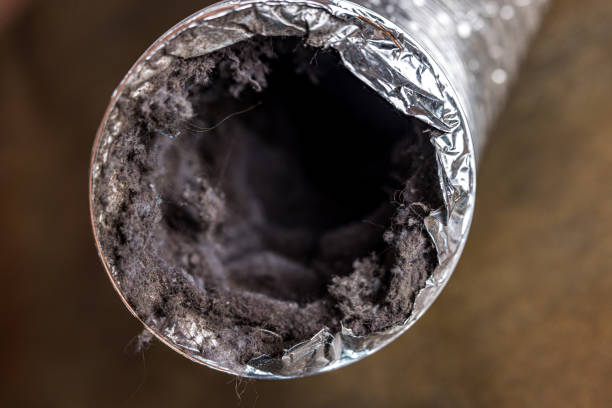 Best Air Duct Cleaning Near Me  in Kapolei, HI