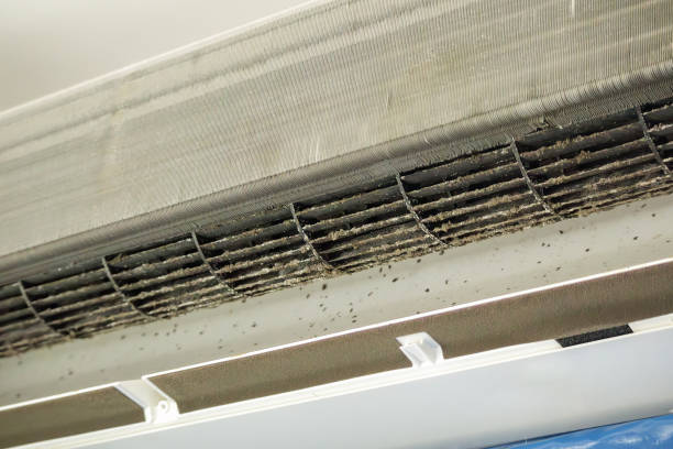 Best Air Vent Cleaning Services  in Kapolei, HI